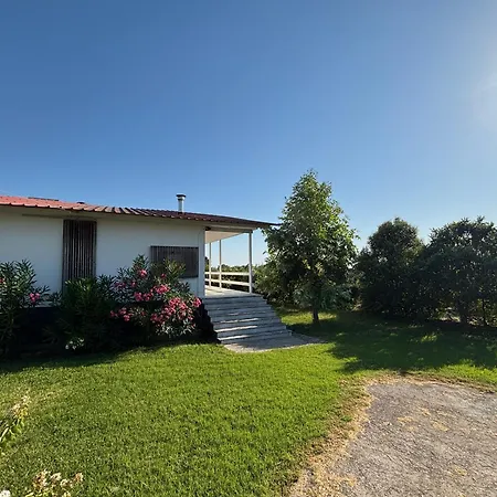 Modern Summer House Popi Palioura