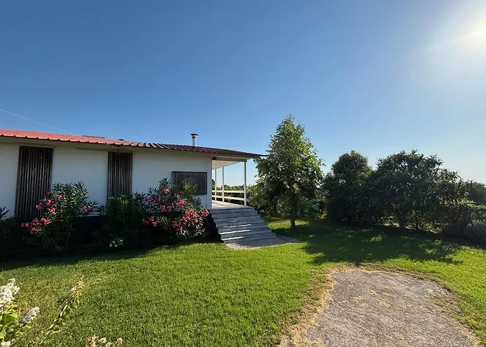 Modern Summer House Popi Palioura