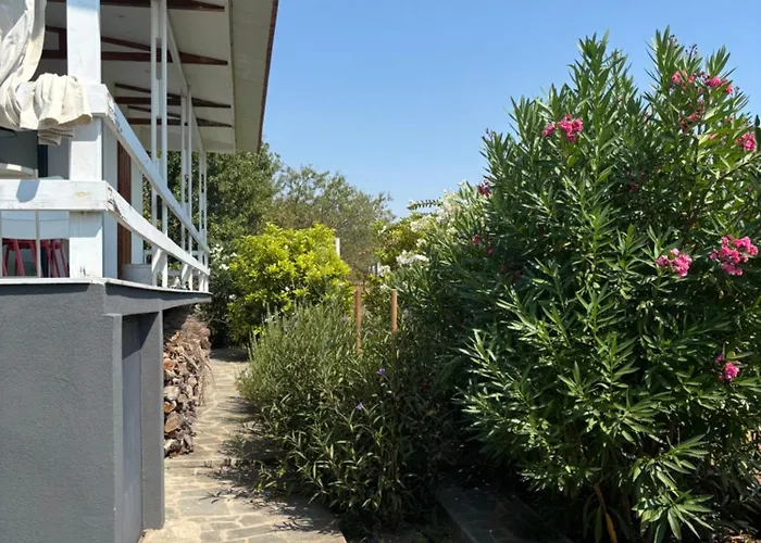 Modern Summer House Popi Vakantiehuis Palioura